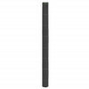 Vidaxl -Karotten -Stoff 1,5x10 m Polypropen schwarz
