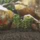 Vidaxl Lava Stones 10 kg 1-2 cm schwarz