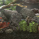 Vidaxl Lava Stones 25 kg 10-30 cm schwarz