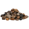 Vidaxl Kieselsteine poliert 2-5 cm 10 kg mehrfarbig