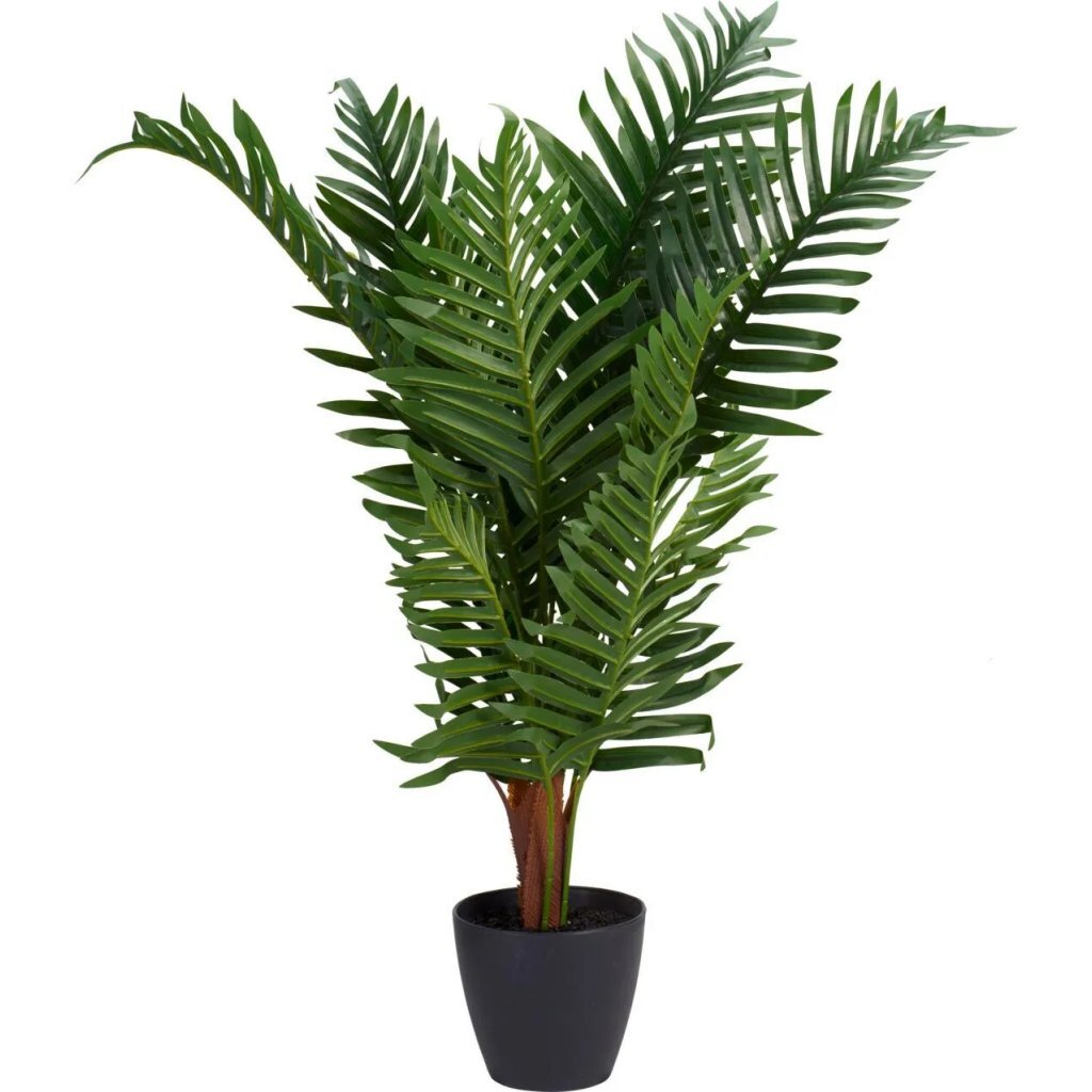 Andere Marken Kunstpflanze Palme 50x85 cm grün
