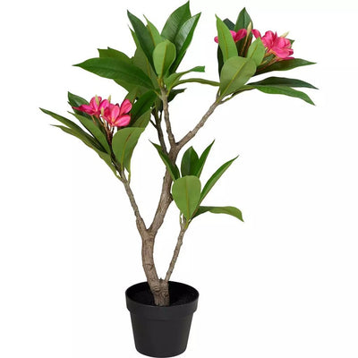 Andere Marken Kunstpflanze Plumeria 50x90 cm rosa grün