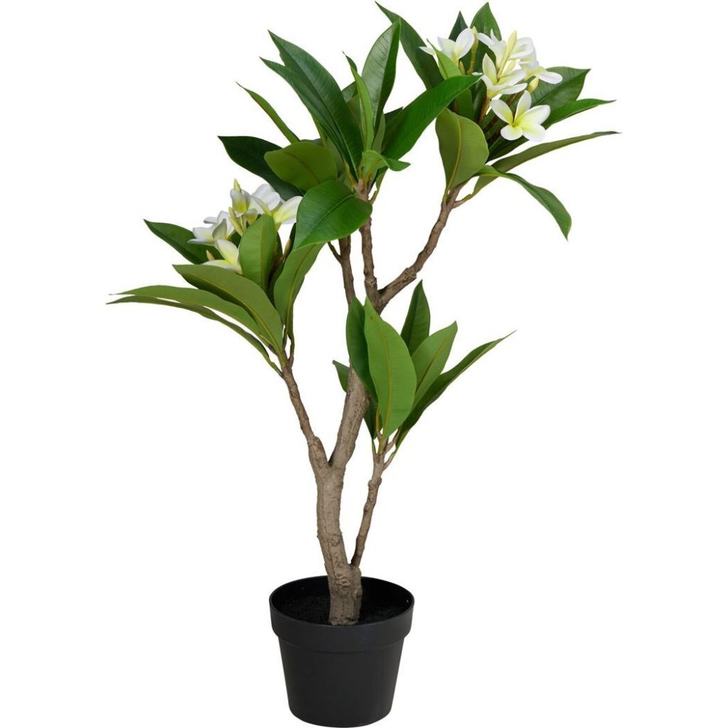 Andere Marken Kunstpflanze Plumeria 50x90 cm weiß grün