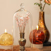 Ideas for Seasons große Glasglocke mit Knauf ø13xh30cm