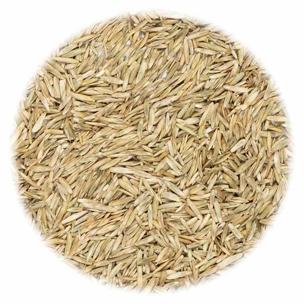 Vidaxl -Grassamen 5 kg