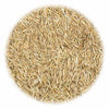 Vidaxl -Grassamen für Trockenheit und Wärme 5 kg