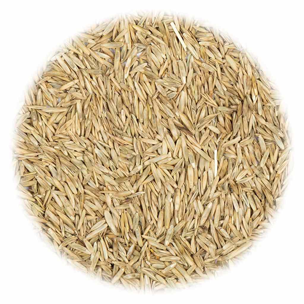 Vidaxl -Grassamen für Trockenheit und Wärme 5 kg