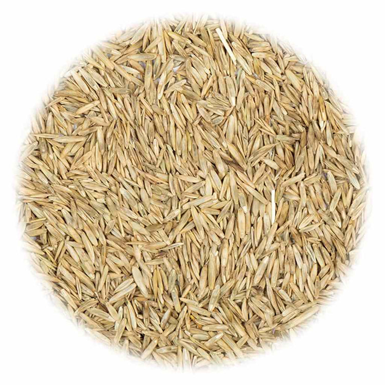 Vidaxl -Grassamen für Trockenheit und Wärme 5 kg