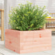 VIDAXL -Planungsbox 40x40x23 cm Solid Douglashout