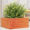 VIDAXL -Planungsbox 50x50x23 cm Festkiefer Wäschebraun