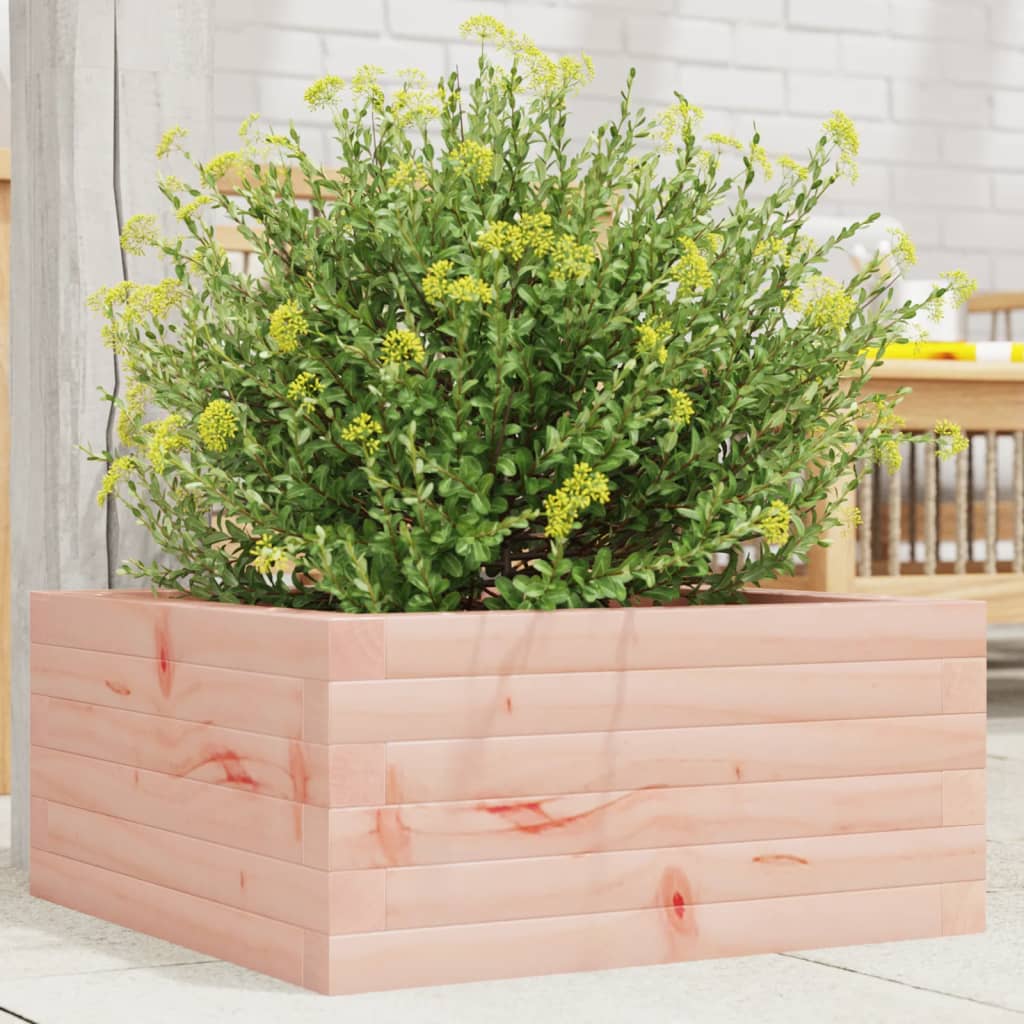 VIDAXL -Planungsbox 50x50x23 cm Solid Douglashout