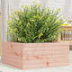 VIDAXL -Planungsbox 50x50x23 cm Solid Douglashout