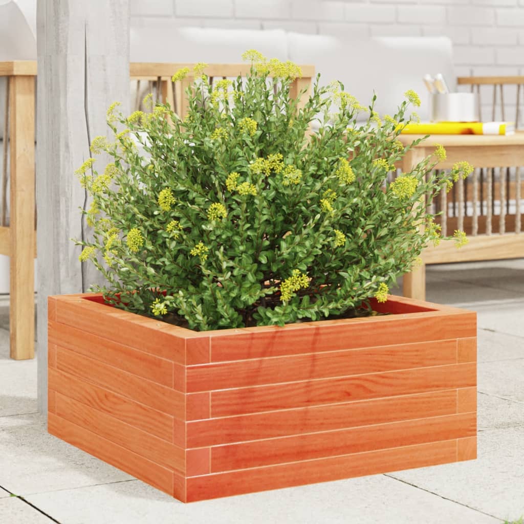 VIDAXL -Planungsbox 60x60x23 cm Festkiefer Wäsche Braun