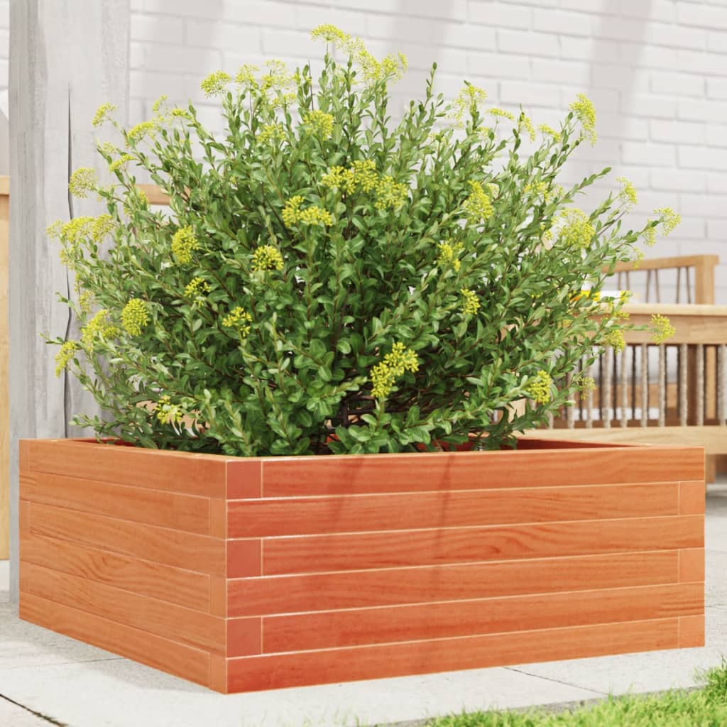 VIDAXL -Planungsbox 60x60x23 cm Festkiefer Wäsche Braun