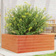 VIDAXL -Planungsbox 60x60x23 cm Festkiefer Wäsche Braun