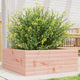 VIDAXL -Planungsbox 60x60x23 cm Solid Douglashout