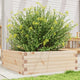 VIDAXL -Planungsbox 70x70x23 cm Festkiefer