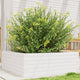 VIDAXL -Planungsbox 70x70x23 cm Festkiefer weiß