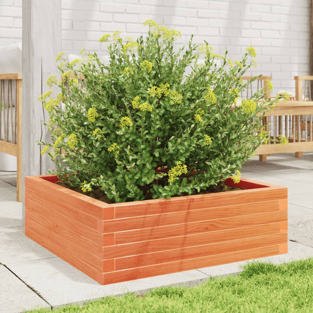VIDAXL -Planungsbox 70x70x23 cm Festkiefer Wäsche braun