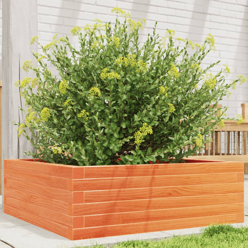 VIDAXL -Planungsbox 70x70x23 cm Festkiefer Wäsche braun