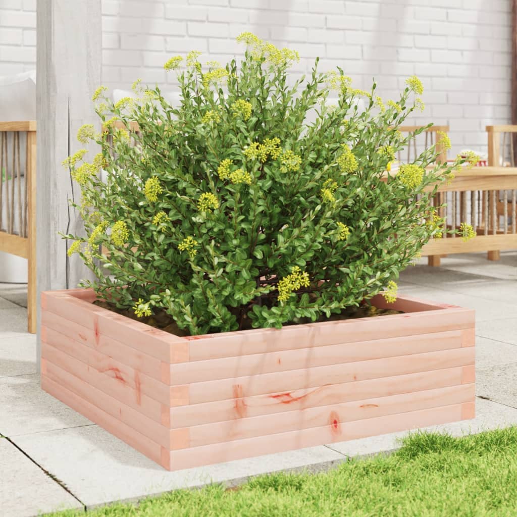Vidaxl -Pflanzer Big 70x70x23 cm Solid Douglashout