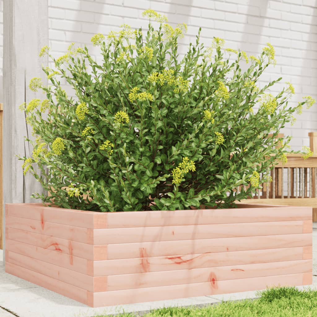 Vidaxl -Pflanzer Big 70x70x23 cm Solid Douglashout