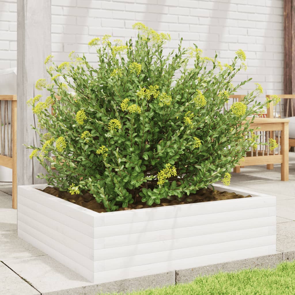 VIDAXL -Planungsbox 80x80x23 cm Festkiefer weiß