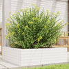 VIDAXL -Planungsbox 80x80x23 cm Festkiefer weiß