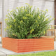 VIDAXL -Planungsbox 80x80x23 cm Festkiefer Wäsche Braun