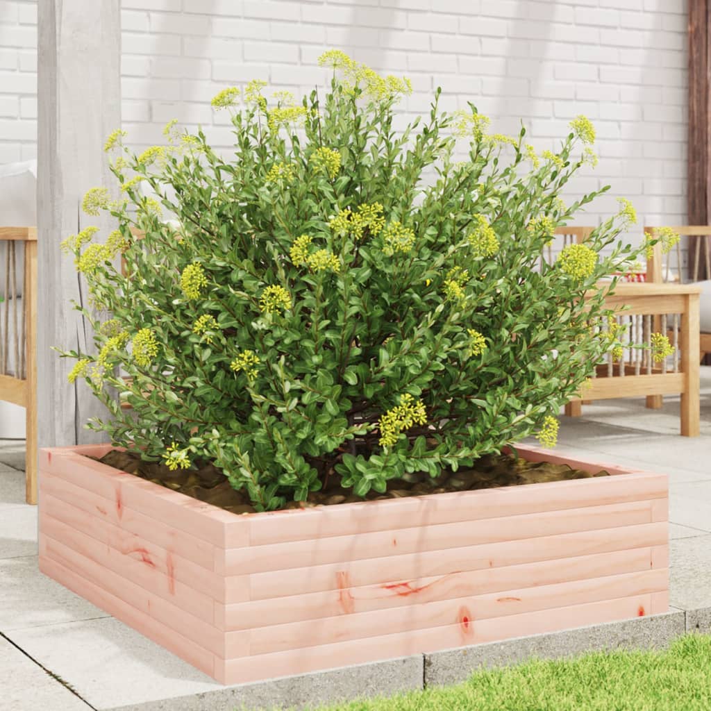 VIDAXL -Planungsbox 80x80x23 cm Solid Douglashout