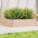 VIDAXL -Planungsbox 90x90x23 cm Festkiefer