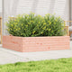 VIDAXL -Planungsbox 90x90x23 cm Solid Douglashout
