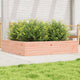 VIDAXL -Planungsbox 110x110x23 cm Solid Douglashout