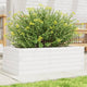VIDAXL -Planungsbox 70x40x23 cm Festkiefer weiß