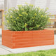 VIDAXL -Planungsbox 70x40x23 cm Festkiefer Wäsche Braun