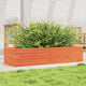 VIDAXL -Planungsbox 110x40x23 cm Festkiefer Wäsche braun