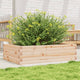 Vidaxl Plannbak 90x60x23 cm Festkiefer