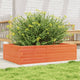 VIDAXL -Planungsbox 90x60x23 cm Festkiefer Wäsche braun