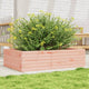 VIDAXL -Planungsbox 90x60x23 cm Solid Douglashout