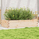 VIDAXL -Planungsbox 110x60x23 cm Festkiefer