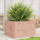 VIDAXL -Planungsbox 70x70x45.5 cm Solid Douglashout
