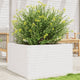 VIDAXL -Planungsbox 80x80x45.5 cm Festkiefer weiß