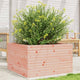 VIDAXL -Planungsbox 80x80x45.5 cm Solid Douglashout