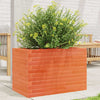 VIDAXL -Planungsbox 70x40x45.5 cm Festkiefer Wäsche braun