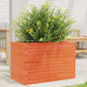 VIDAXL -Planungsbox 70x40x45.5 cm Festkiefer Wäsche braun
