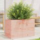 VIDAXL -Planungsbox 70x40x45.5 cm Solid Douglashout