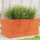VIDAXL -Planungsbox 90x60x45.5 cm Festkiefer Wäsche braun