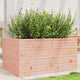 VIDAXL -Planungsbox 90x60x45.5 cm Solid Douglashout