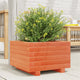 VIDAXL -Pflanzer Big 40x40x26,5 cm Festkiefer Wäsche braun