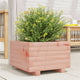 VIDAXL -Planungsbox 40x40x26,5 cm Solid Douglashout